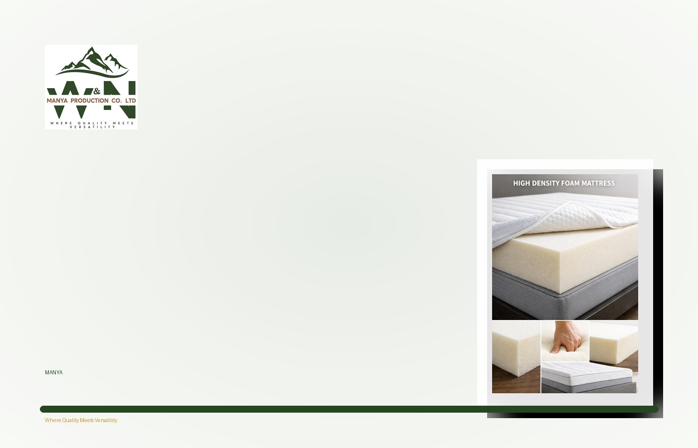 Mattress Protector